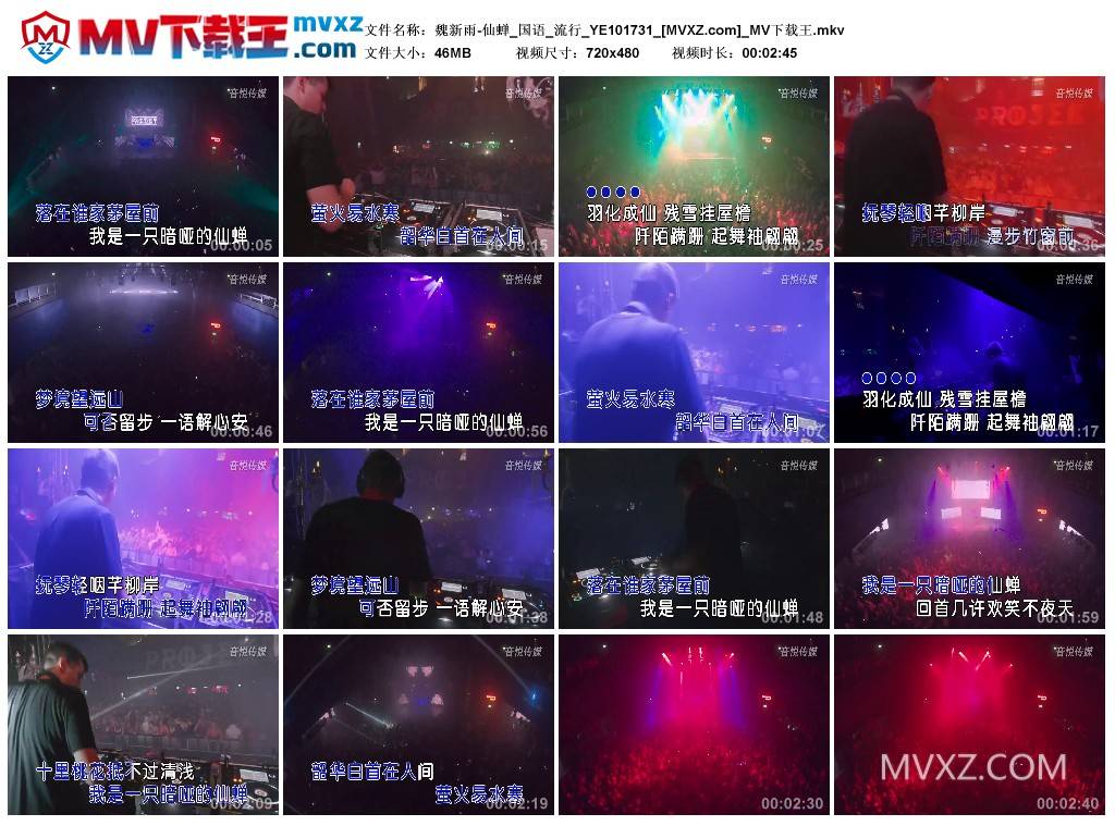 魏新雨-仙蝉_国语_流行_YE101731